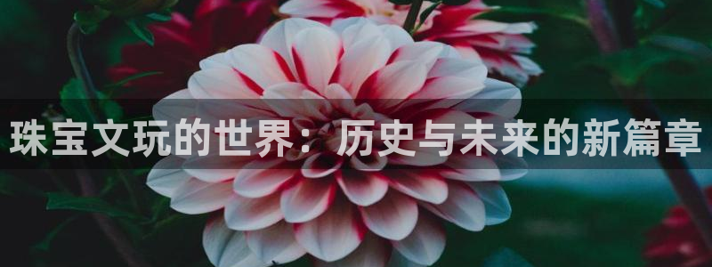 彝族自治州众腾娱乐