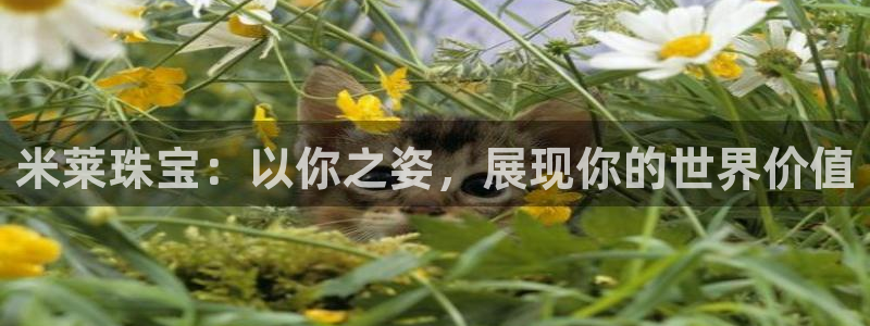 众腾娱乐客服