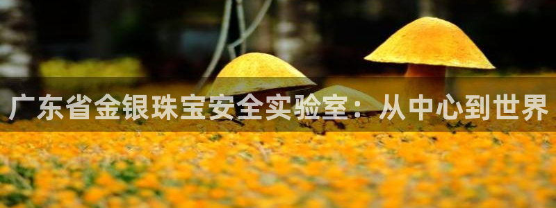 众腾娱乐平台群7O777