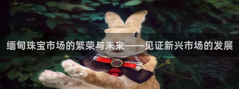 众腾娱乐登入探索无限空间