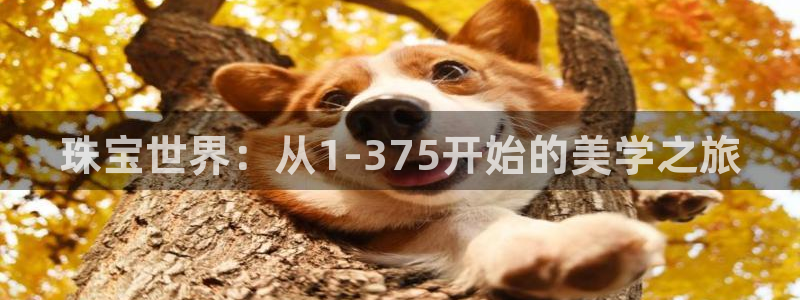 众腾娱乐招商