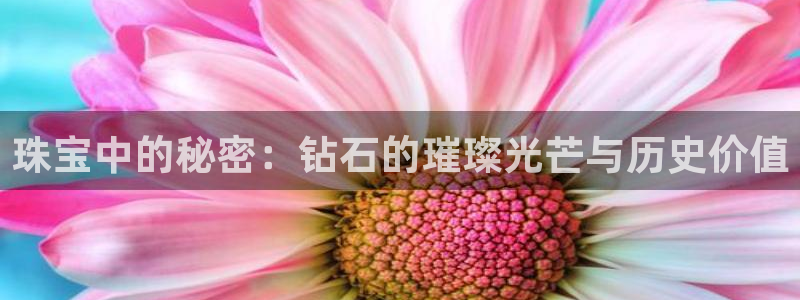 众腾娱乐