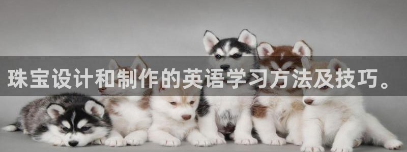 众腾娱乐平台下载