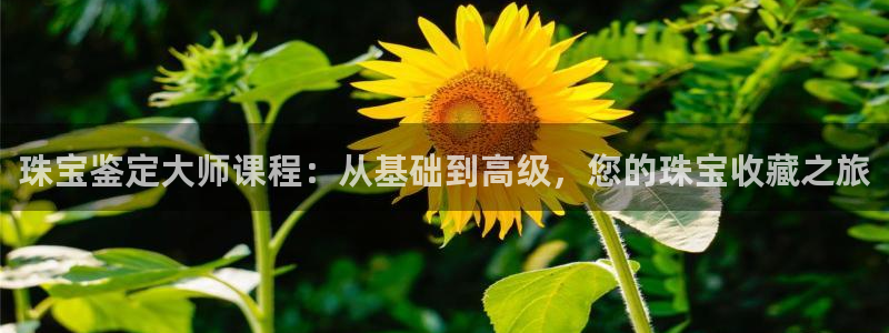 腾耀娱乐29999出众