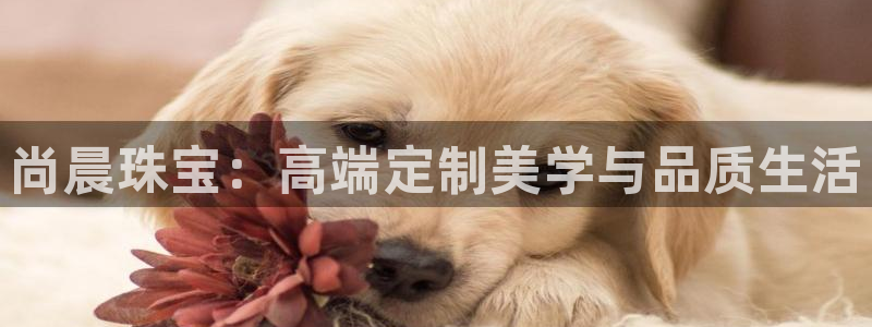 云南众腾娱乐