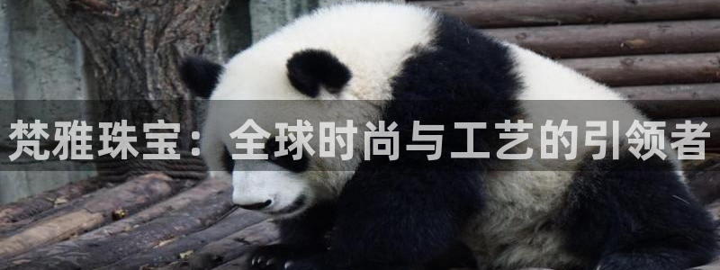 包头众腾娱乐密室逃脱