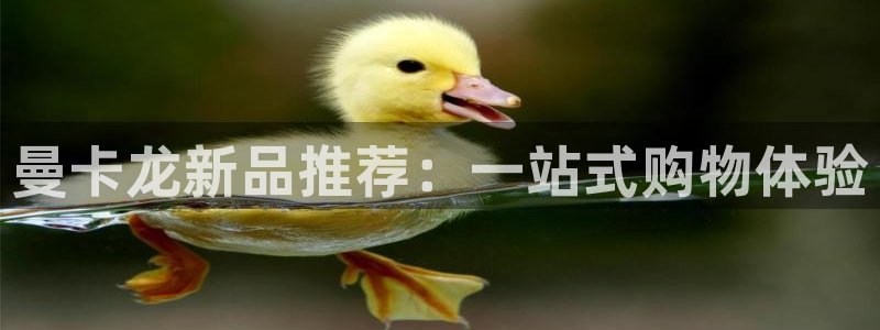 楚雄众腾娱乐在哪里