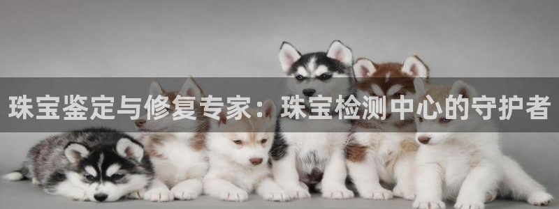 腾众娱乐彩票