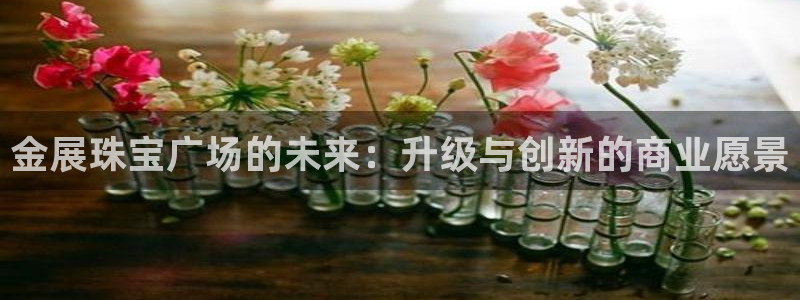 众腾娱乐登入探索无限空间：金展珠宝广场的未来：升级与创新的商
