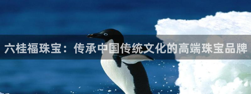 众腾娱乐梦幻演艺店