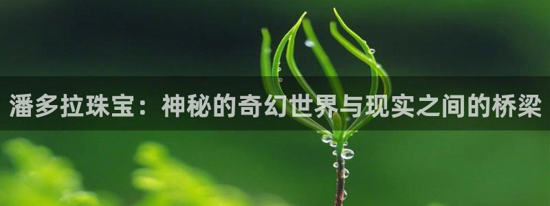 彝族自治州众腾娱乐
