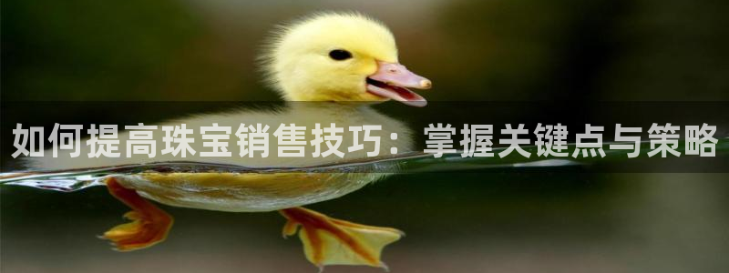 众腾娱乐APP下载：如何提高珠宝销售技巧：掌握关键点与策略