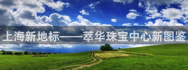 众腾娱乐代理怎么样：上海新地标——萃华珠宝中心新图鉴