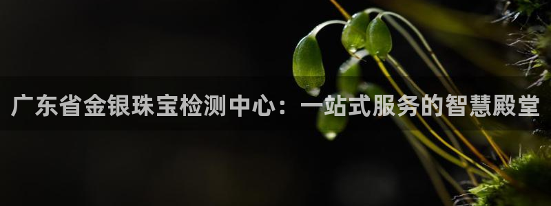 众东腾娱乐客服：广东省金银珠宝检测中心：一站式服务的智慧殿堂