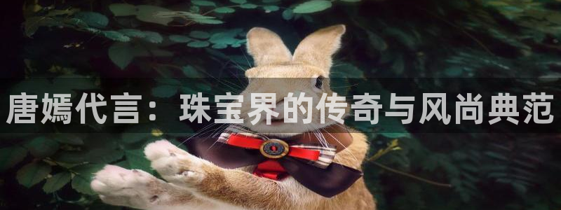 众腾娱乐总代理