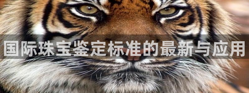 包头众腾娱乐密室逃脱：国际珠宝鉴定标准的最新与应用