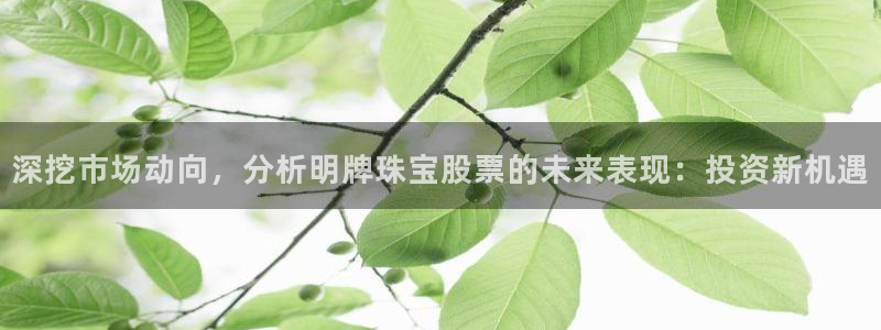 腾众娱乐的彩票靠谱吗：深挖市场动向，分析明牌珠宝股票的未来表