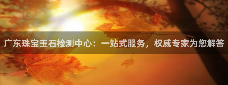 众腾娱乐平台下载