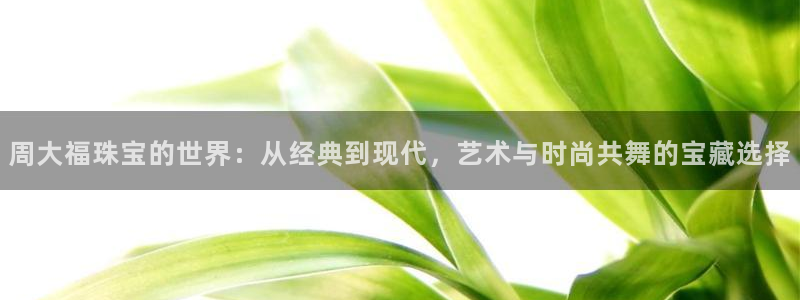 楚雄众腾娱乐