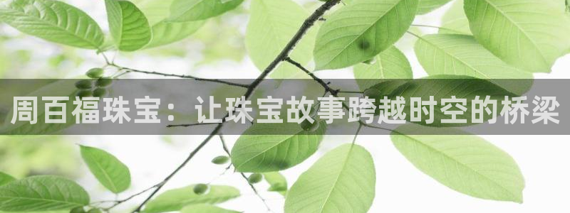 众联别墅g座上腾娱乐有限公司