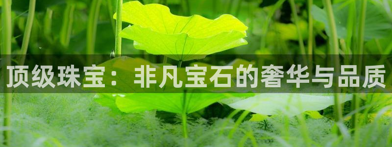 众腾娱乐平台