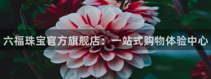 众腾娱乐官方客服电话