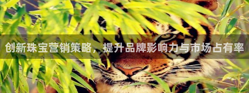 众腾娱乐代理怎么样