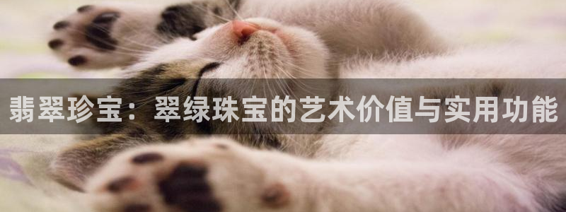 楚雄众腾娱乐