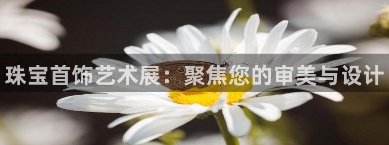 众腾娱乐总代理