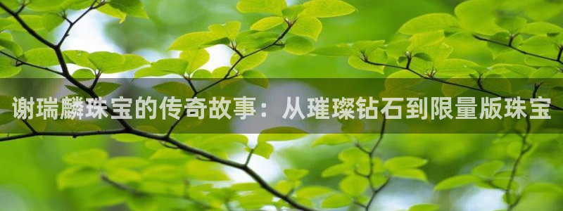 楚雄众腾娱乐是干什么的