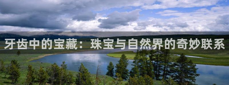 腾耀娱乐29999出众：牙齿中的宝藏：珠宝与自然界的奇妙联系