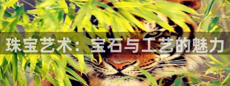 腾众娱乐是个啥