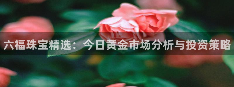 众腾娱乐app：六福珠宝精选：今日黄金市场分析与投资策略