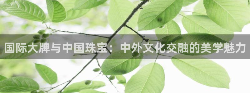 众腾娱乐总代理：国际大牌与中国珠宝：中外文化交融的美学魅力