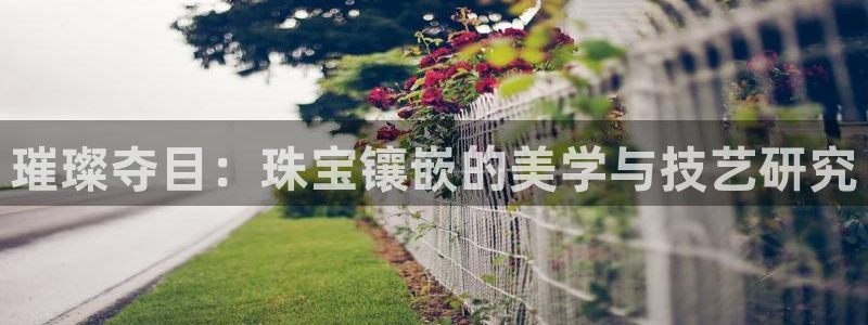 腾耀娱乐29999出众：璀璨夺目：珠宝镶嵌的美学与技艺研究