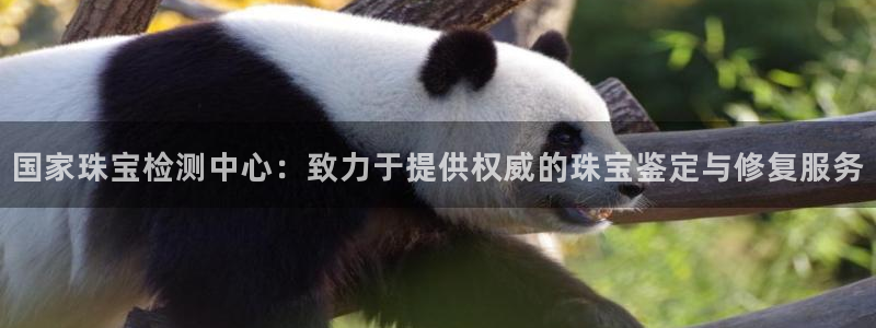 腾耀3娱乐众123：国家珠宝检测中心：致力于提供权威的珠宝鉴