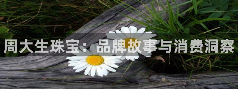 楚雄众腾娱乐在哪里：周大生珠宝：品牌故事与消费洞察