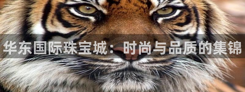 众腾娱乐平台群7O777