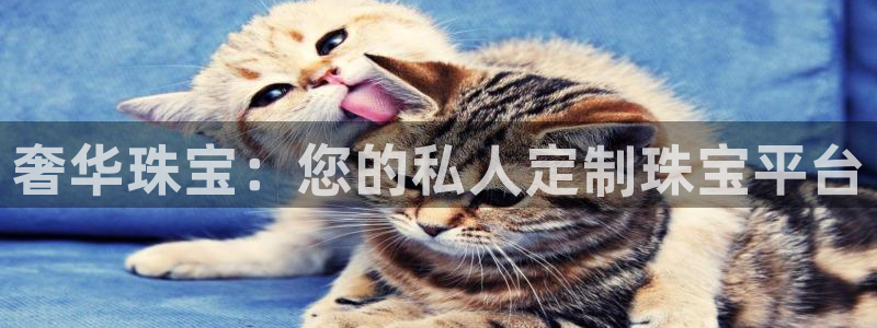 云南众腾娱乐