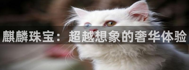 众腾娱乐扣款是正规的吗