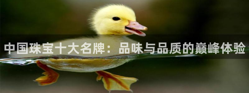 岳阳众腾ktv娱乐