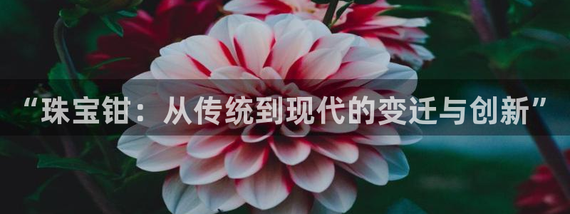 众东腾娱乐客服