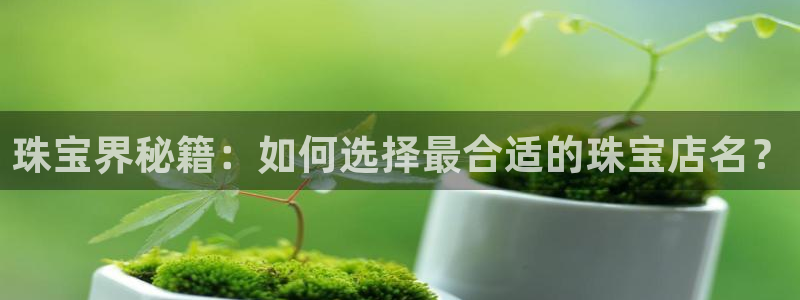 众联别墅g座上腾娱乐有限公司：珠宝界秘籍：如何选择最合适的珠