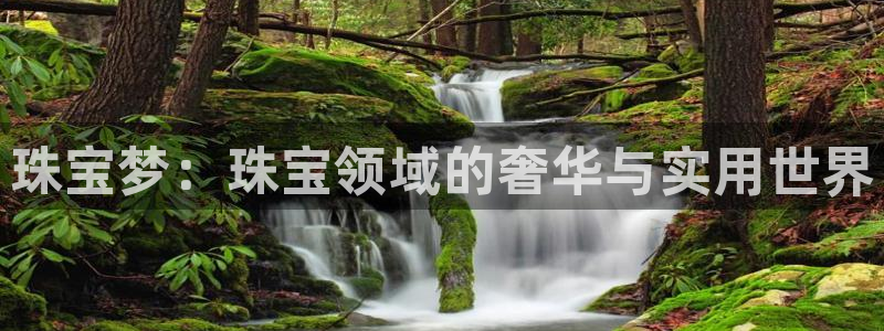 众腾娱乐平台下载：珠宝梦：珠宝领域的奢华与实用世界