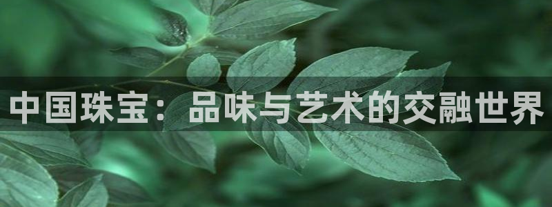 内蒙古众腾娱乐文化法人