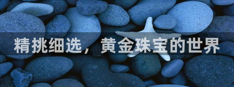 众腾娱乐梦幻演艺店