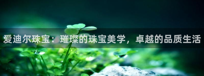 众腾娱乐APP下载