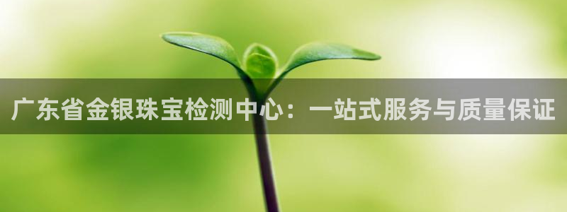 众东腾娱乐客服