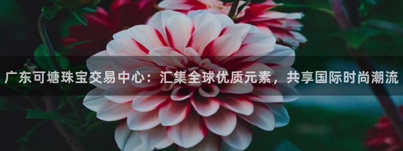 众腾娱乐毕 7O935