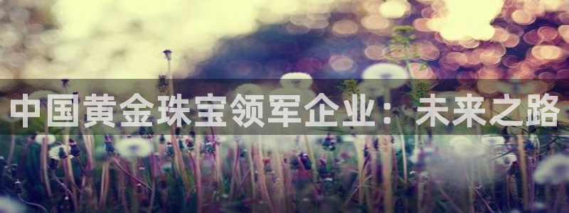 众腾娱乐平台官网入口